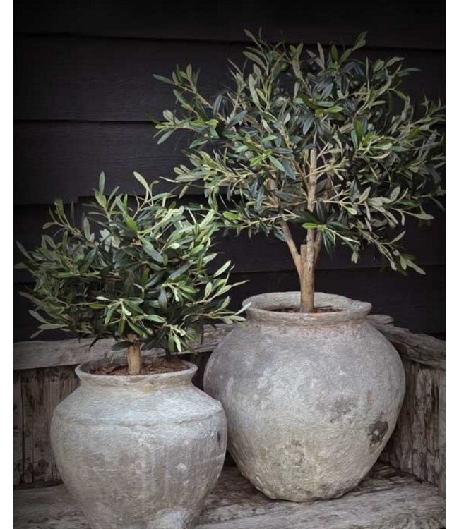 Tuinposter "de twee potten olijf"  60x80, met latjes