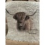 # Gekleurde Shabby doek 30x45cm Hooglander