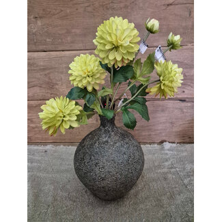 # Fles Brechtje Dark - ca. 24 x 24 x 28 cm