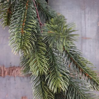 # guirlande den - kunst - 180cm - buiten