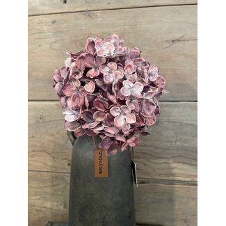 # Hortensia - paars/roze - 18 x 18 x 45 cm