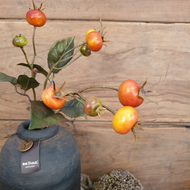 Countryfield # Rozenbottel Breona S oranje-L48B10H3CM