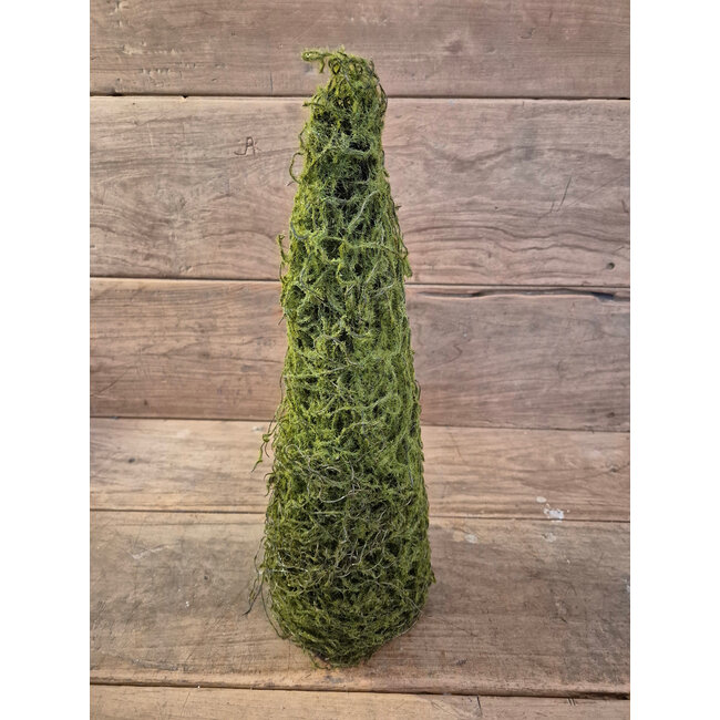 # Mos boompje M 40 cm