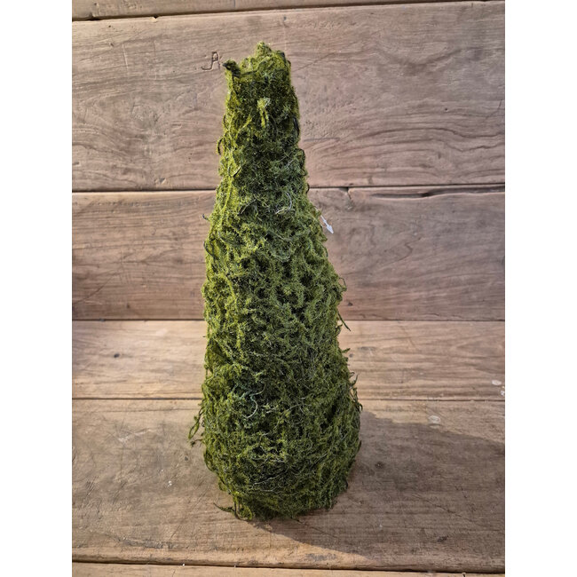 # Mos boompje S 30 cm