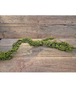 Mos twijg groen Real touch