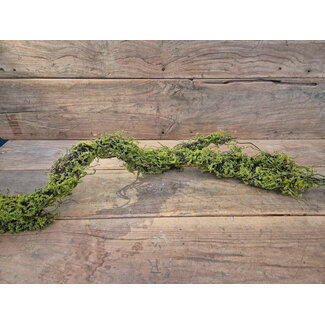 # Mos twijg groen Real touch