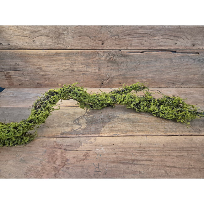 # Mos twijg groen Real touch