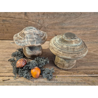 Mix - houten paddestoel - ca. 12 x 12 x 12 cm - bruin melee - per stuk