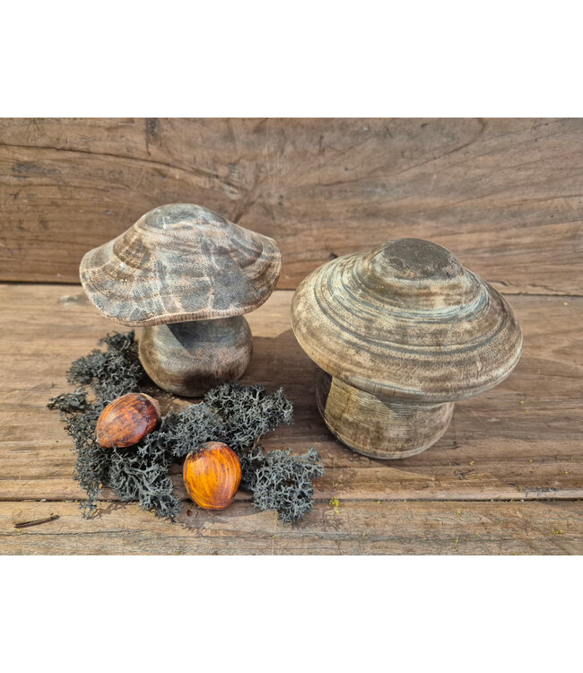 Mix - houten paddestoel - ca. 12 x 12 x 12 cm - bruin melee - per stuk