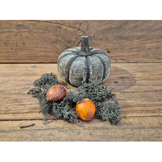 Mix - houten pompoen - plat -  ca. 12 x 12 x 10 cm - grijs melee