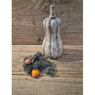 # mix - fles pompoen hout - ca. 9 x 9 x 19cm - bruin melee
