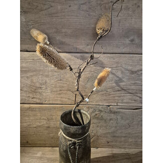 # Dennenappeltak S - ca 70 cm