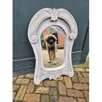 # Ossenoog spiegel - taupe - 60 x 90 cm