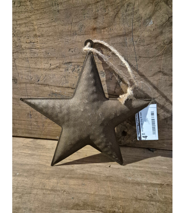 Countryfield ### Hanger ster Orly M roest