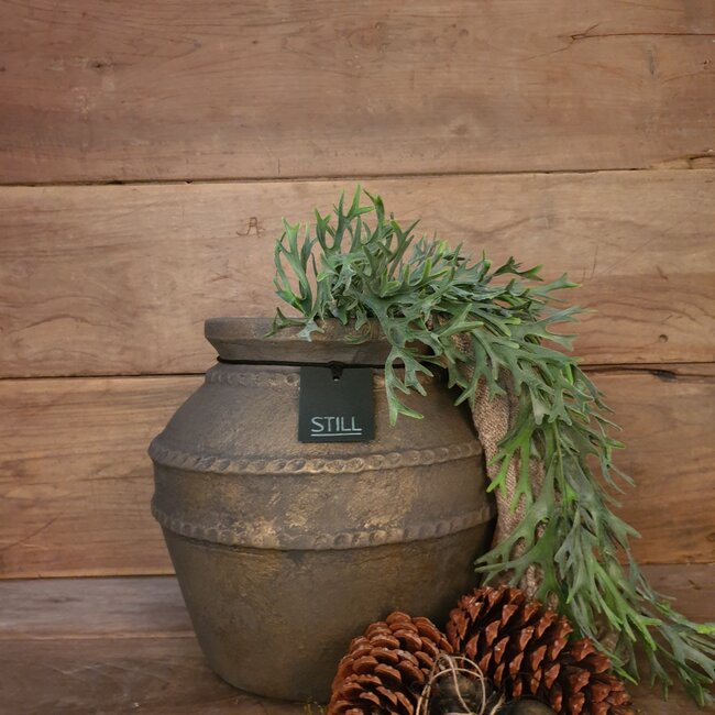 Countryfield ## Poaceae groen-L33B10H75CM kunst