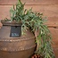 Countryfield ## Poaceae groen-L33B10H75CM kunst