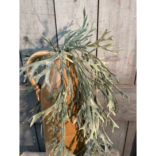 Countryfield ## Kunstplant Pteropsida groen-L75B25H10CM