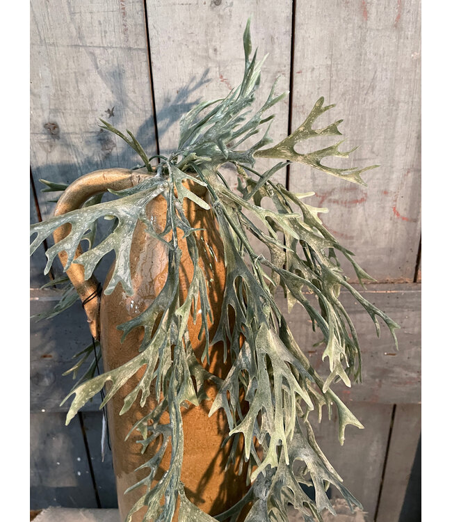 Countryfield # Kunstplant Pteropsida groen-L75B25H10CM