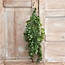 ## Groene eucalyptus 30 cm