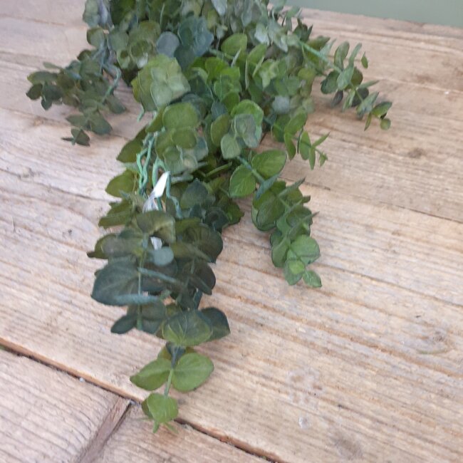 ## Groene eucalyptus 30 cm
