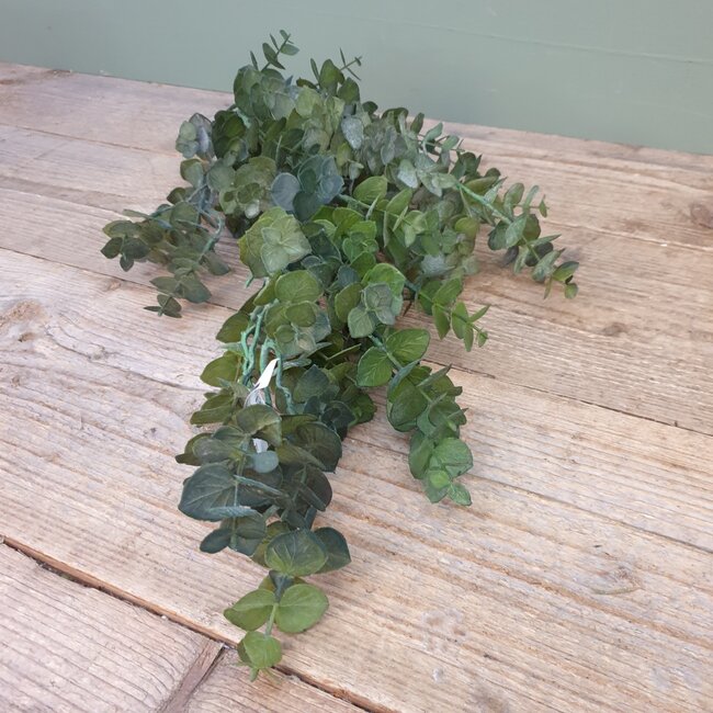 ## Groene eucalyptus 30 cm