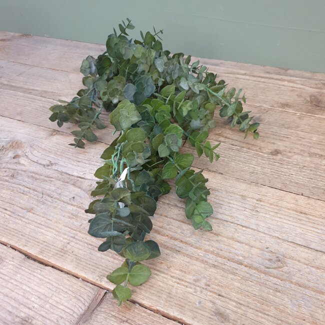 ## Groene eucalyptus 30 cm