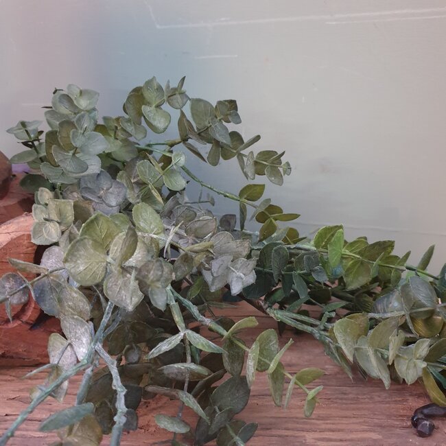 ## Groene eucalyptus 30 cm