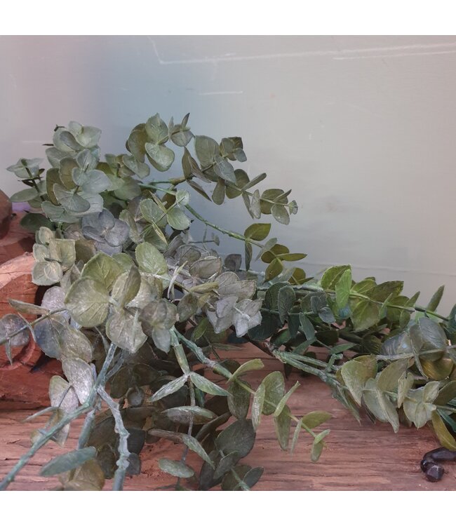 Groene eucalyptus 30 cm