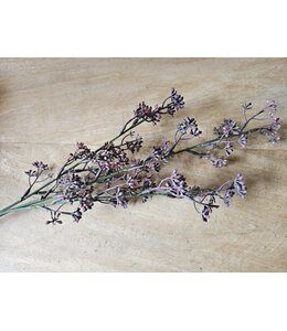 Countryfield @ Prunus - fuchsia