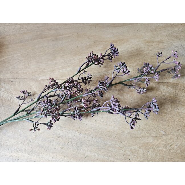 Countryfield ## Prunus - fuchsia
