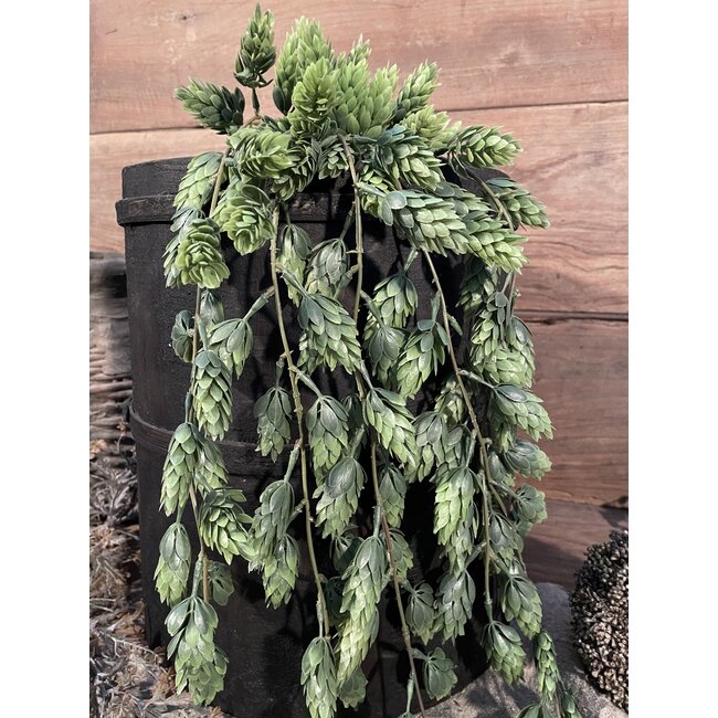 Countryfield Humulus Lupulus (Hop) ro groen-L105B15H15CM - Hanger hop - kunst