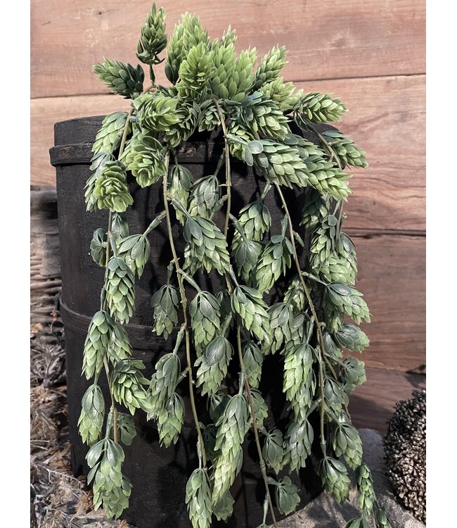 Countryfield # Humulus Lupulus (Hop) ro groen-L105B15H15CM - Hanger hop - kunst