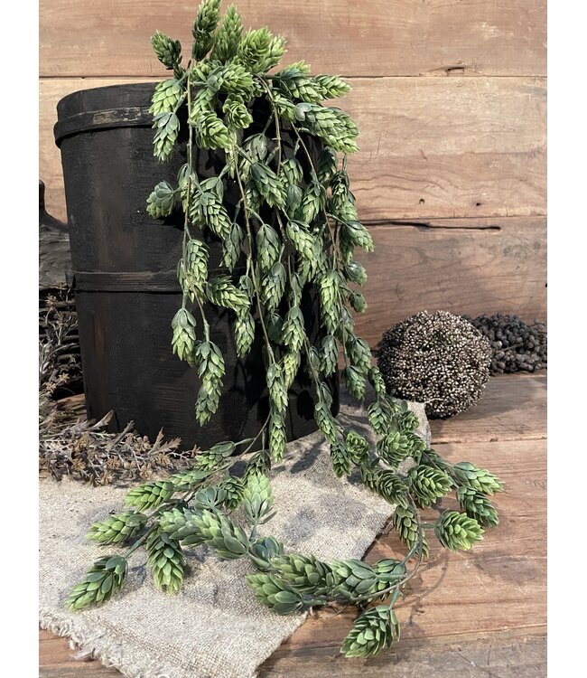 Countryfield # Humulus Lupulus (Hop) ro groen-L105B15H15CM - Hanger hop - kunst
