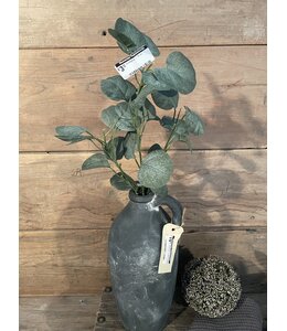 Countryfield Eucalyptus - 70 cm