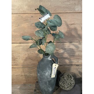 Countryfield ## Eucalyptus - 70 cm