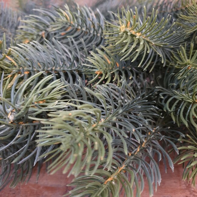 # Winnipeg krans - kunst - binnen en buiten - 40 cm