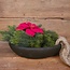 # Winnipeg krans - kunst - binnen en buiten - 40 cm