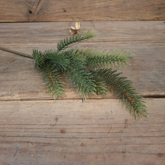 # D555 - Tak dennegroen - kunst - 5x11x36cm