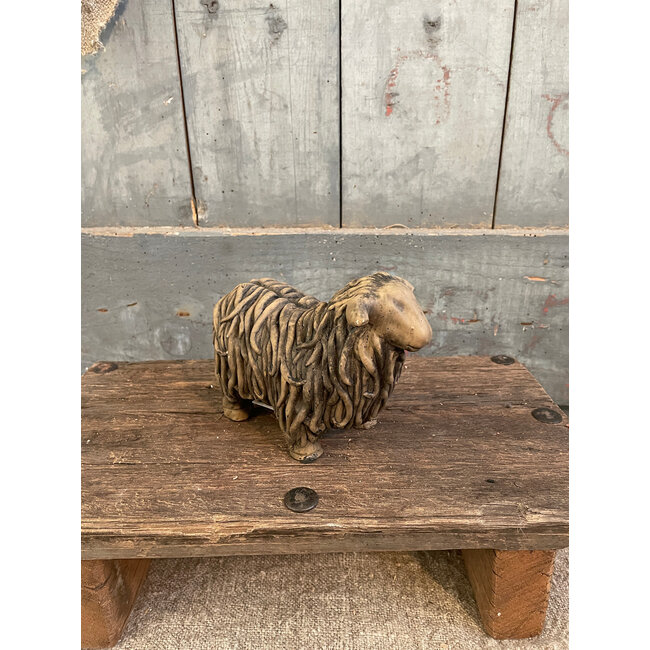 # Hairy Sheep Majestic Brown D.15 H.12 cm - kleinste zonder hoorns - per stuk