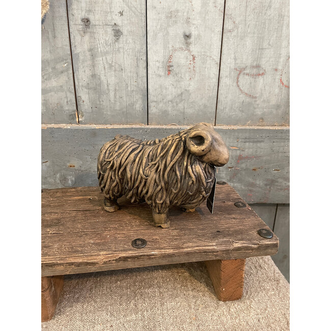 # Hairy Sheep Majestic Brown D.20 H.14 cm - grootste met hoorns - per stuk