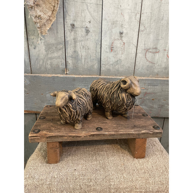 Hairy Sheep Majestic Brown D.20 H.14 cm - grootste met hoorns - per stuk