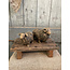 # Hairy Sheep Majestic Brown D.20 H.14 cm - grootste met hoorns - per stuk