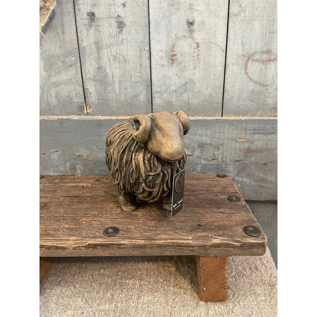 Hairy Sheep Majestic Brown D.20 H.14 cm - grootste met hoorns - per stuk