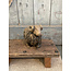 # Hairy Sheep Majestic Brown D.20 H.14 cm - grootste met hoorns - per stuk