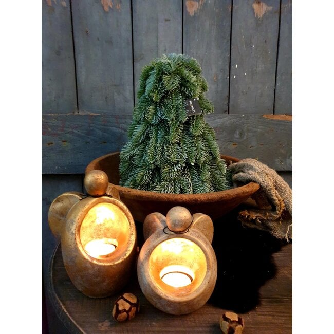 # Nobilis boom Brynxz - kunst - 30 cm - per stuk