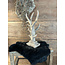 # Gewei ornament Misty M 20 x 9 x 34