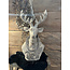 # Hert Thor M 26 x 20 x 50