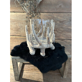 # Windlicht gewei Ivory L -