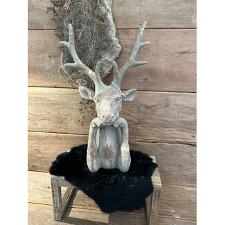 # Hert Alaya L16 x 21 x 51