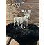 ## wordt niet verzonden - Hert Solis staand S 21 x 9 x 20